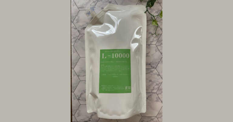 Ｌ－10000